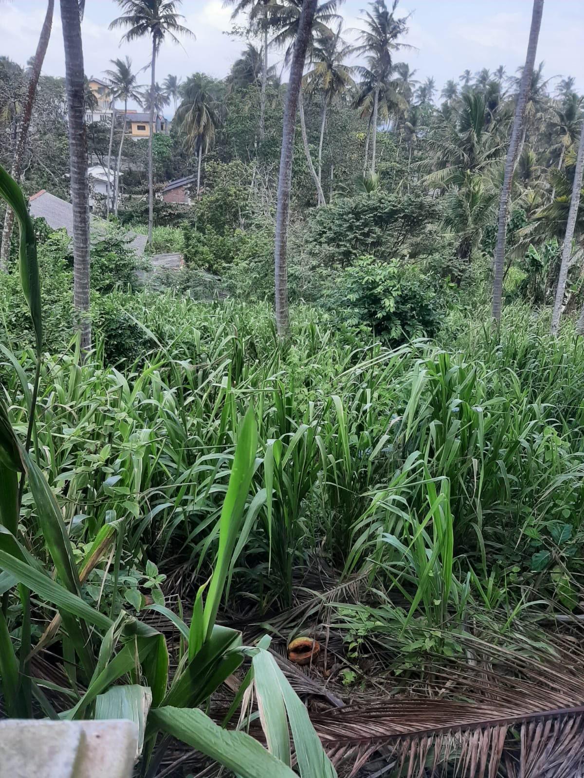 Prime Land in Hiriketiya , Dickwella