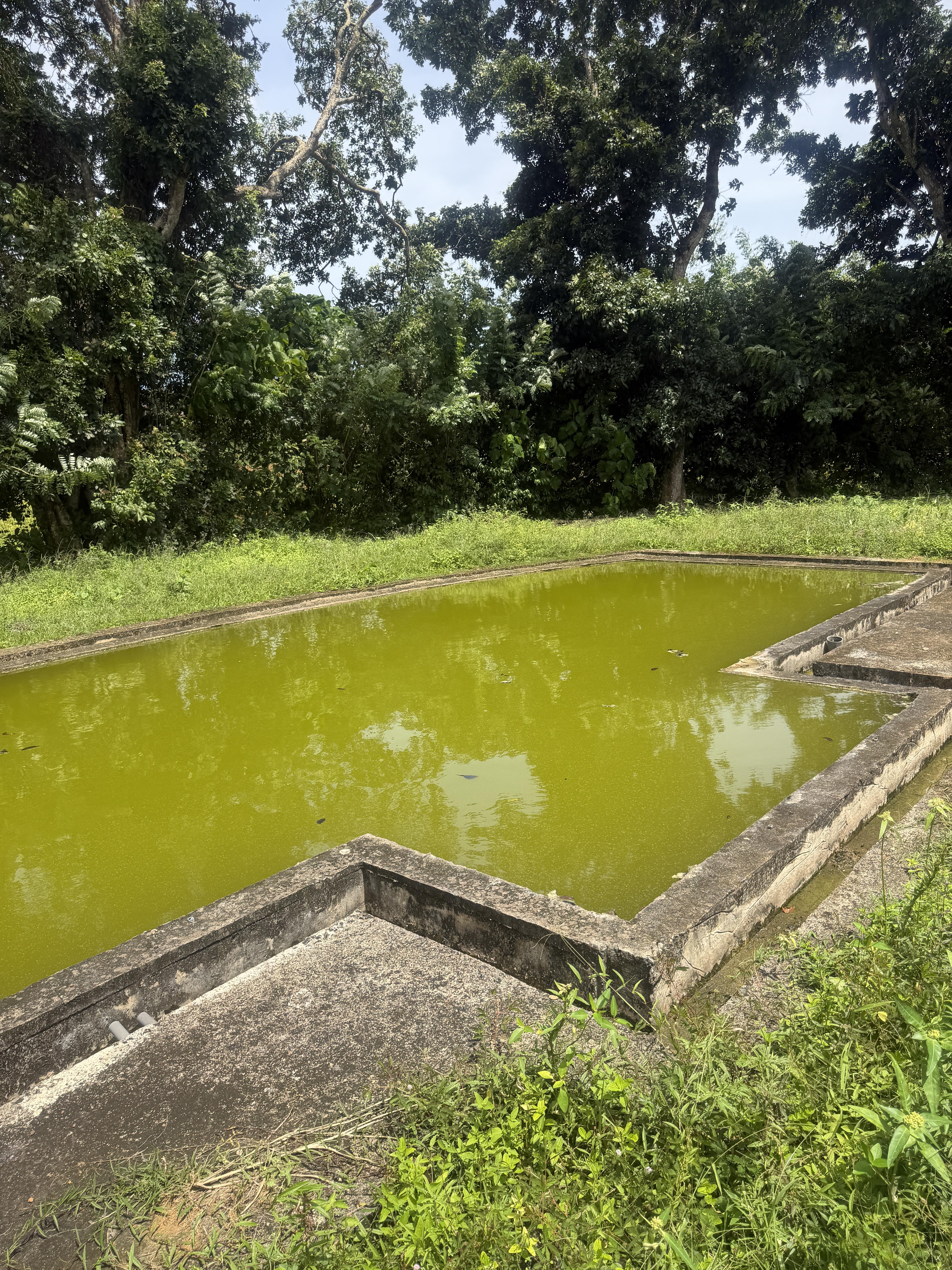 Premium Land in Meepe, Talpe