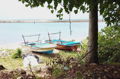 Beachside Land in Rekawa, Tangalle