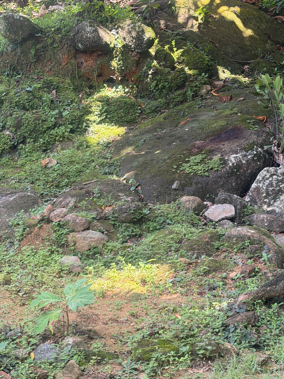 Land with Old House for Sale in Kithulampitiya Road, Galle