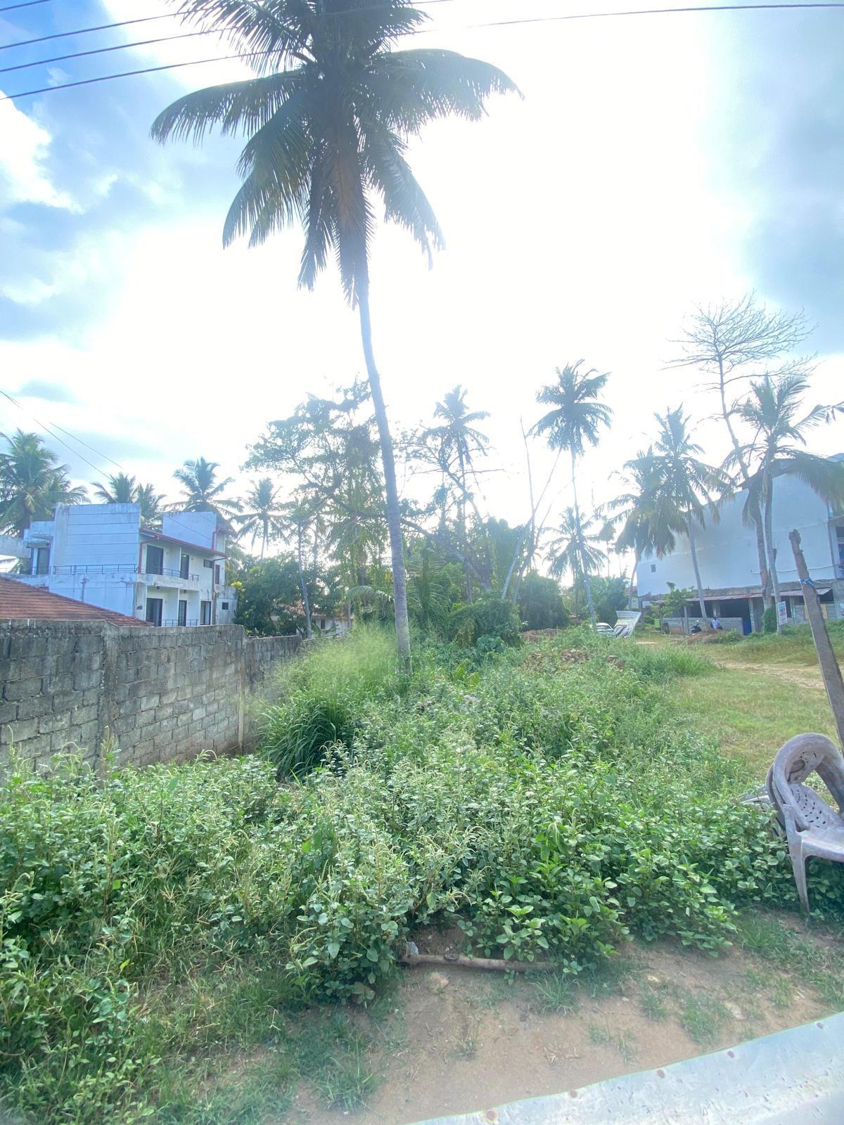 Commercial Land in Walasmulla,Sri Lanka