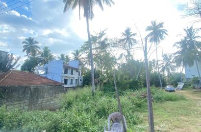 Commercial Land in Walasmulla,Sri Lanka