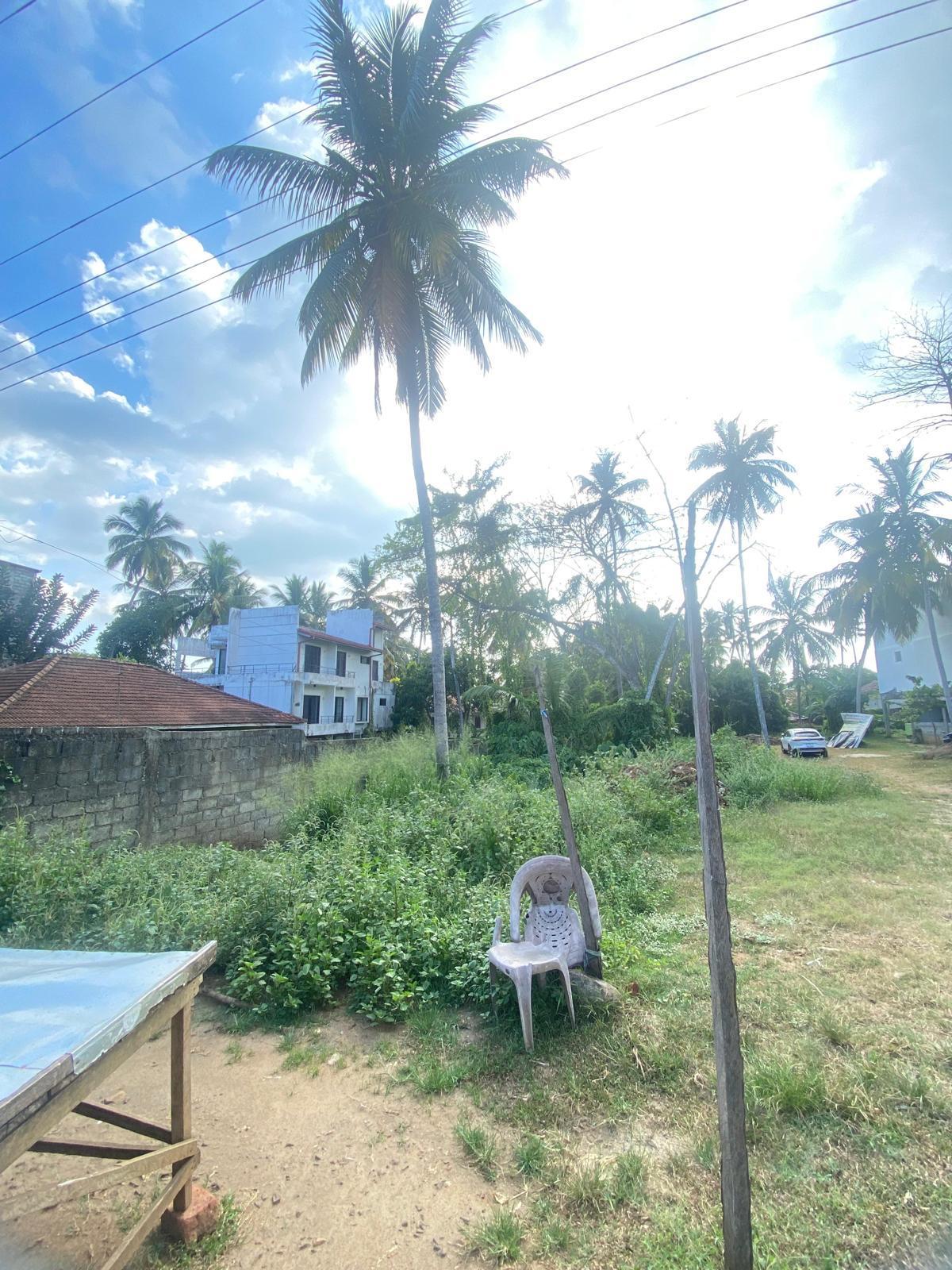 Commercial Land in Walasmulla,Sri Lanka