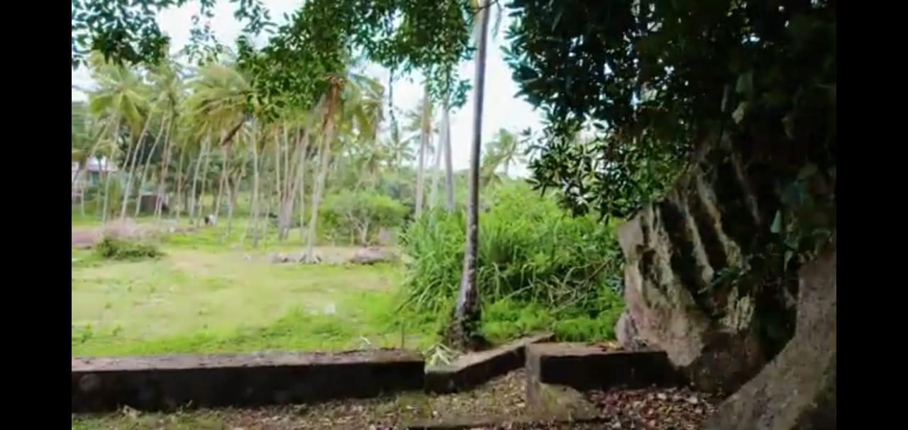 Prime Beachfront Land in Induruwa, Sri Lanka