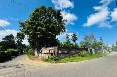 Residential Land in Arachchimulla, Bentota