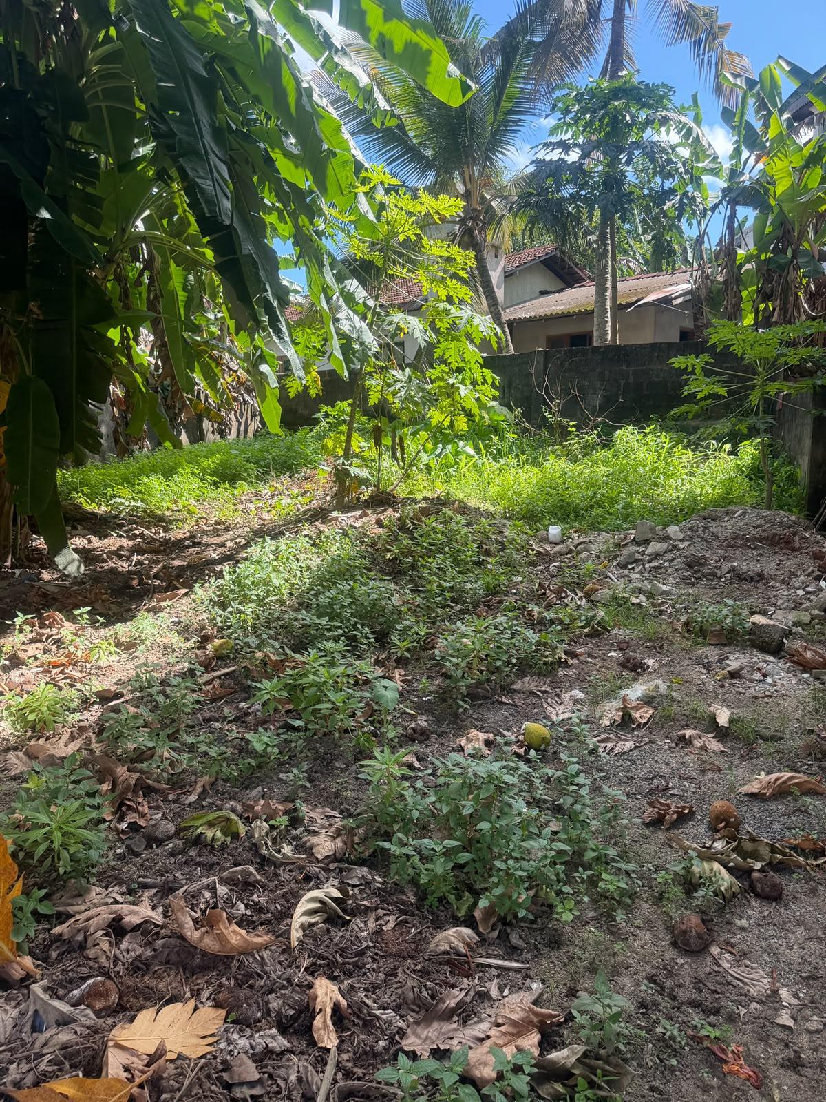 Land in Ambalanwatta Road, Milidduwa, Galle