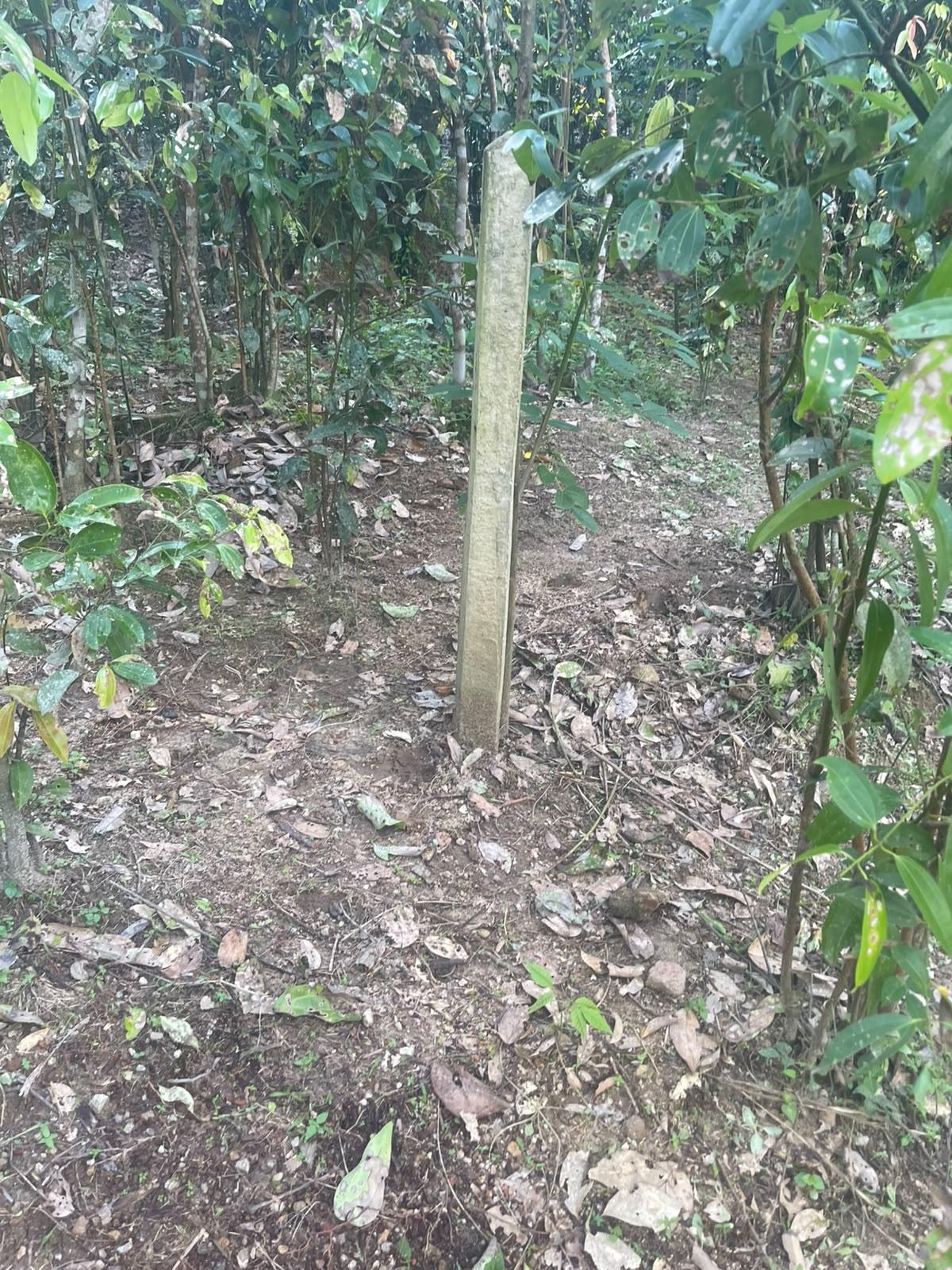 40 Perches Paddy View Land in Welipatha, Galle